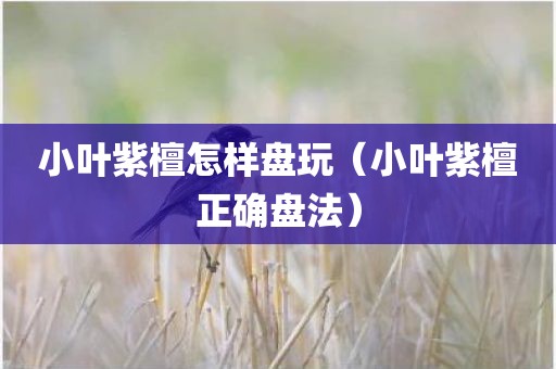 小叶紫檀怎样盘玩（小叶紫檀正确盘法）