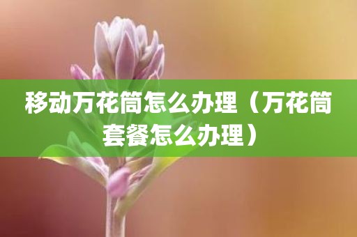 移动万花筒怎么办理（万花筒套餐怎么办理）