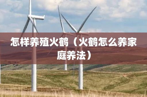 怎样养殖火鹤(火鹤怎么养家庭养法) 怎样养殖火鹤(火鹤怎么养家庭养法)