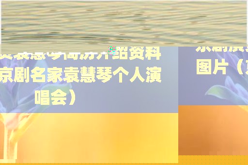 京剧演员袁慧琴简历介绍资料图片（京剧名家袁慧琴个人演唱会）