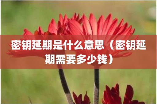 密钥延期是什么意思（密钥延期需要多少钱）
