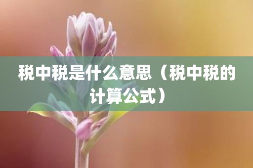税中税是什么意思（税中税的计算公式）
