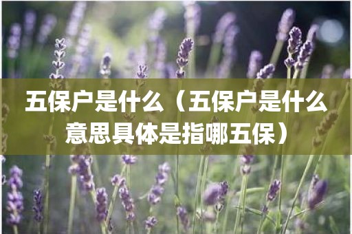 五保户是什么（五保户是什么意思具体是指哪五保）