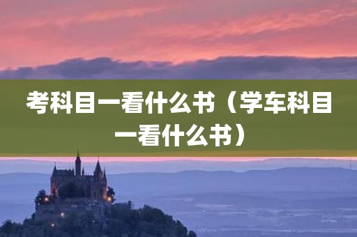考科目一看什么书（学车科目一看什么书）