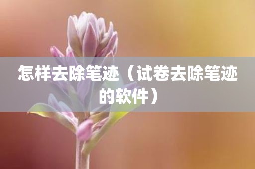怎样去除笔迹（试卷去除笔迹的软件）