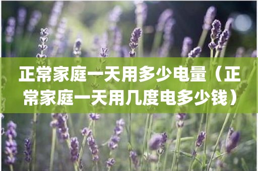 正常家庭一天用多少电量（正常家庭一天用几度电多少钱）