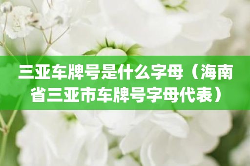 三亚车牌号是什么字母（海南省三亚市车牌号字母代表）