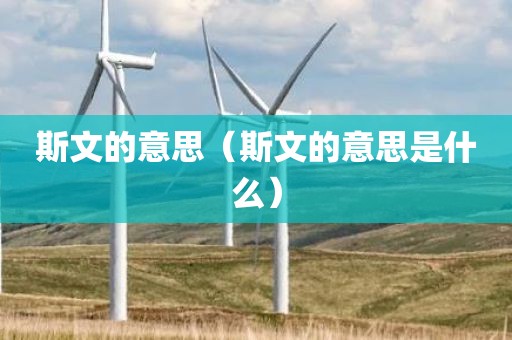 斯文的意思（斯文的意思是什么）