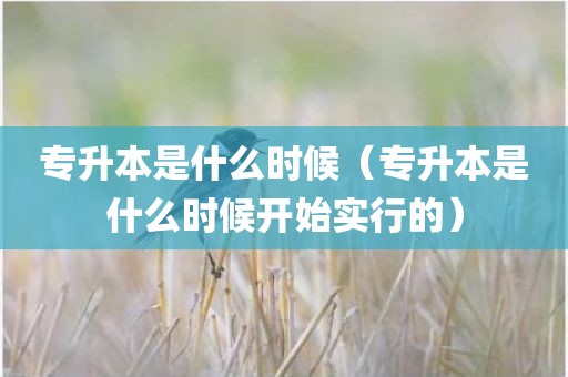 专升本是什么时候（专升本是什么时候开始实行的）
