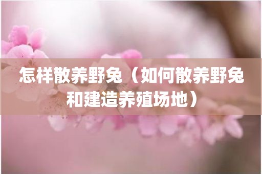 怎样散养野兔（如何散养野兔和建造养殖场地）