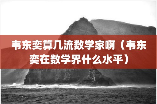 韦东奕算几流数学家啊（韦东奕在数学界什么水平）