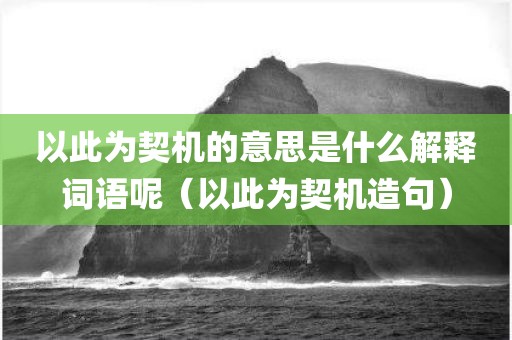 以此为契机的意思是什么解释词语呢（以此为契机造句）