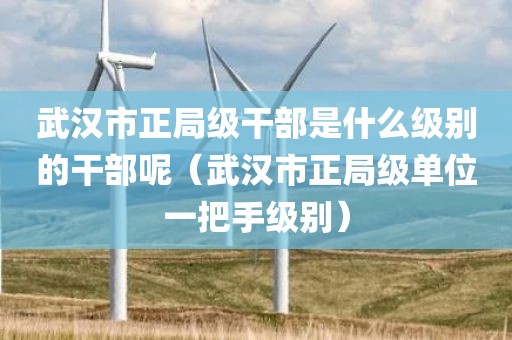 武汉市正局级干部是什么级别的干部呢（武汉市正局级单位一把手级别）