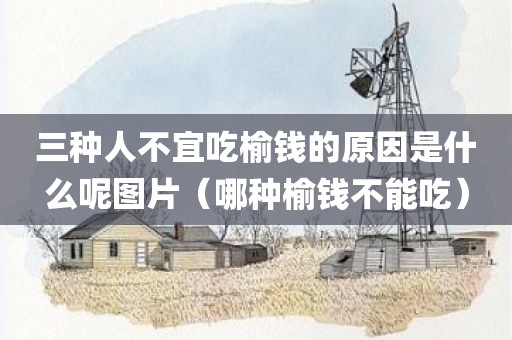 三种人不宜吃榆钱的原因是什么呢图片（哪种榆钱不能吃）