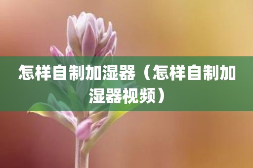 怎样自制加湿器（怎样自制加湿器视频）