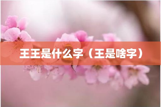 王王是什么字（王是啥字）
