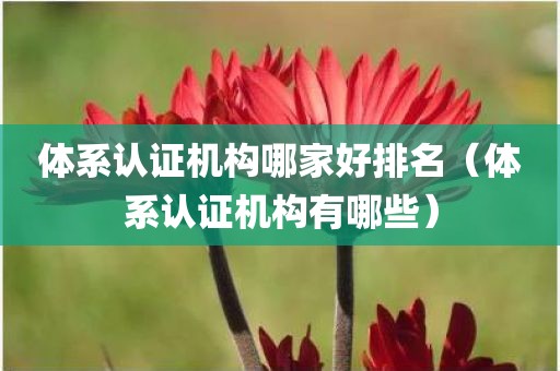 体系认证机构哪家好排名（体系认证机构有哪些）