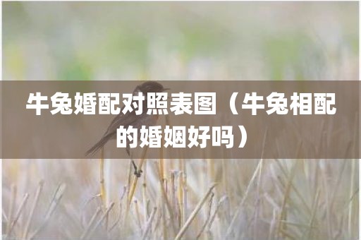 牛兔婚配对照表图（牛兔相配的婚姻好吗）