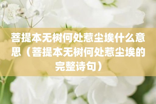 菩提本无树何处惹尘埃什么意思（菩提本无树何处惹尘埃的完整诗句）