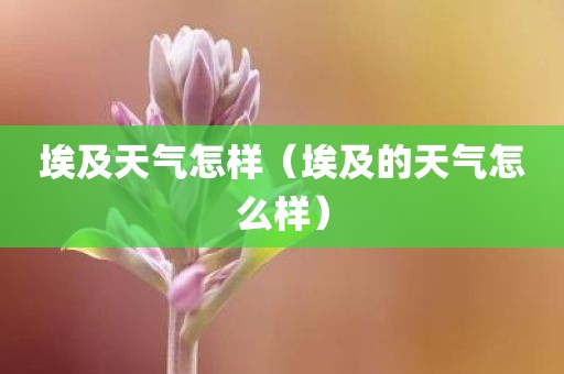 埃及天气怎样（埃及的天气怎么样）
