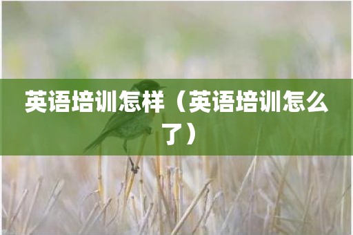英语培训怎样（英语培训怎么了）
