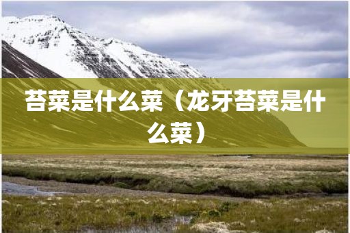 苔菜是什么菜（龙牙苔菜是什么菜）