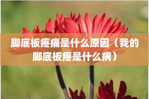 脚底板疼痛是什么原因（我的脚底板疼是什么病）