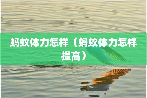 蚂蚁体力怎样（蚂蚁体力怎样提高）