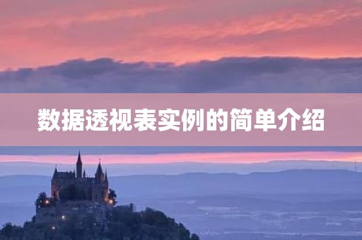 数据透视表实例的简单介绍
