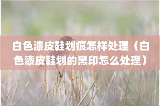 白色漆皮鞋划痕怎样处理（白色漆皮鞋划的黑印怎么处理）