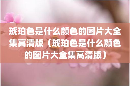 琥珀色是什么颜色的图片大全集高清版（琥珀色是什么颜色的图片大全集高清版）