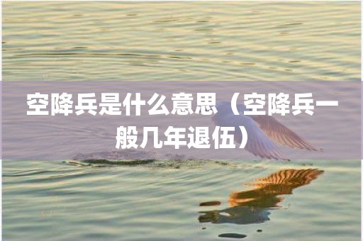 空降兵是什么意思（空降兵一般几年退伍）