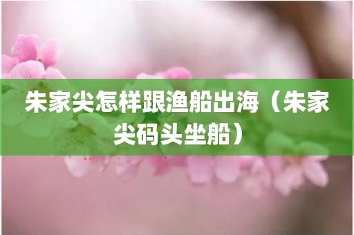 朱家尖怎样跟渔船出海（朱家尖码头坐船）