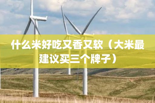 什么米好吃又香又软(大米最建议买三个牌子)