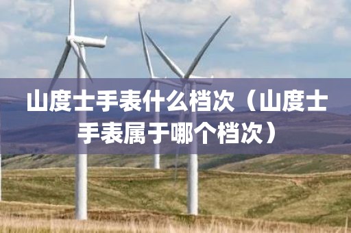 山度士手表什么档次（山度士手表属于哪个档次）