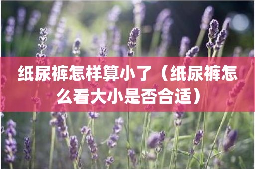 纸尿裤怎样算小了（纸尿裤怎么看大小是否合适）
