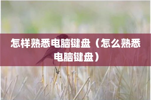 怎样熟悉电脑键盘（怎么熟悉电脑键盘）