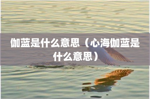 伽蓝是什么意思（心海伽蓝是什么意思）