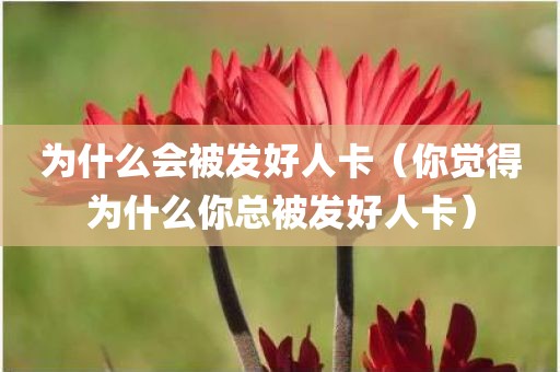 为什么会被发好人卡（你觉得为什么你总被发好人卡）