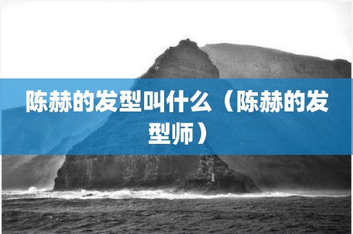 陈赫的发型叫什么（陈赫的发型师）