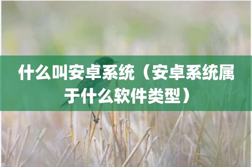 什么叫安卓系统（安卓系统属于什么软件类型）