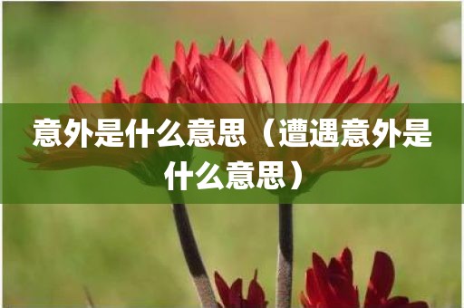 意外是什么意思(遭遇意外是什么意思)