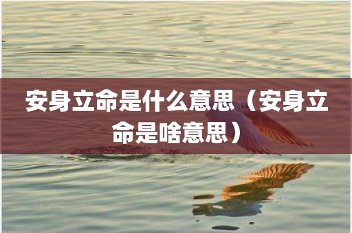 安身立命是什么意思（安身立命是啥意思）