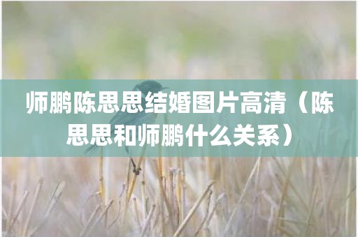 师鹏陈思思结婚图片高清（陈思思和师鹏什么关系）