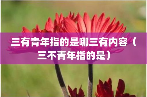 三有青年指的是哪三有内容(三不青年指的是)