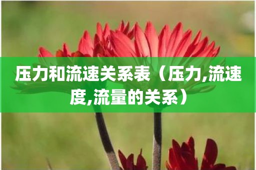 压力和流速关系表（压力,流速度,流量的关系）