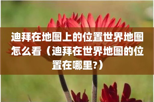 迪拜在地图上的位置世界地图怎么看（迪拜在世界地图的位置在哪里?）