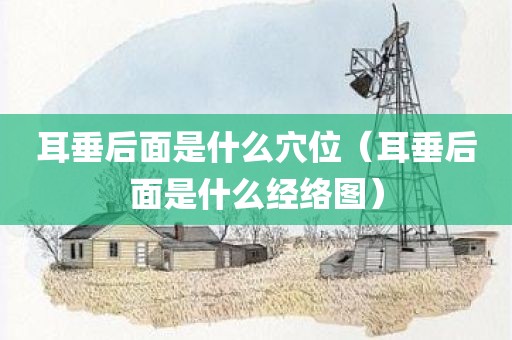 耳垂后面是什么穴位（耳垂后面是什么经络图）