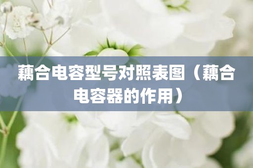 藕合电容型号对照表图（藕合电容器的作用）