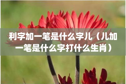 利字加一笔是什么字儿（儿加一笔是什么字打什么生肖）